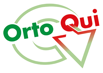 OrtoQui
