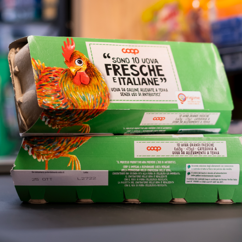 Benessere animale: un impegno etico e strategico